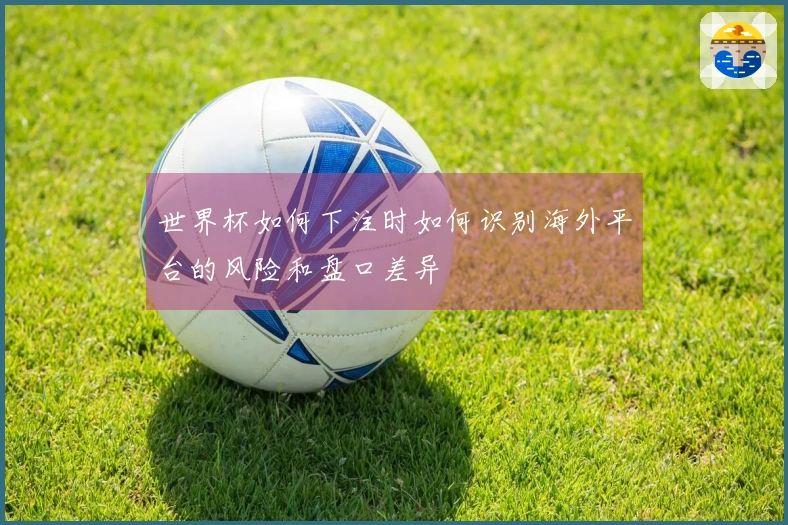 世界杯如何下注时如何识别海外平台的风险和盘口差异